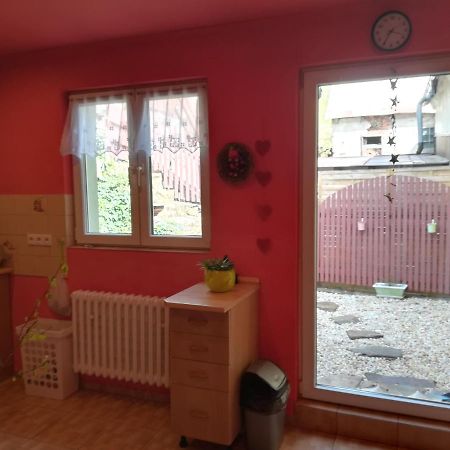 Ferienwohnung Prazdninovy Byt Arin Jáchymov Exterior foto