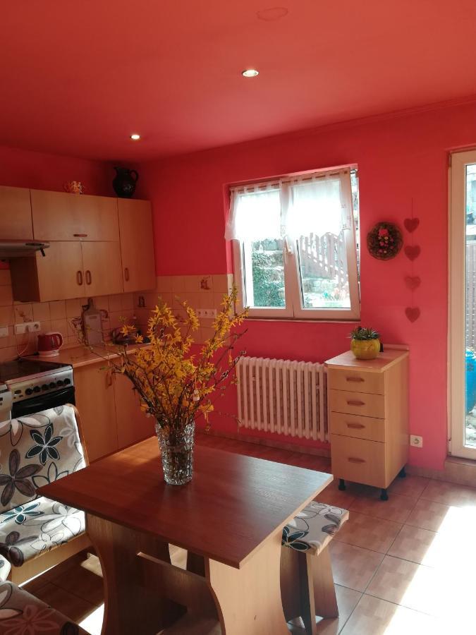 Ferienwohnung Prazdninovy Byt Arin Jáchymov Exterior foto