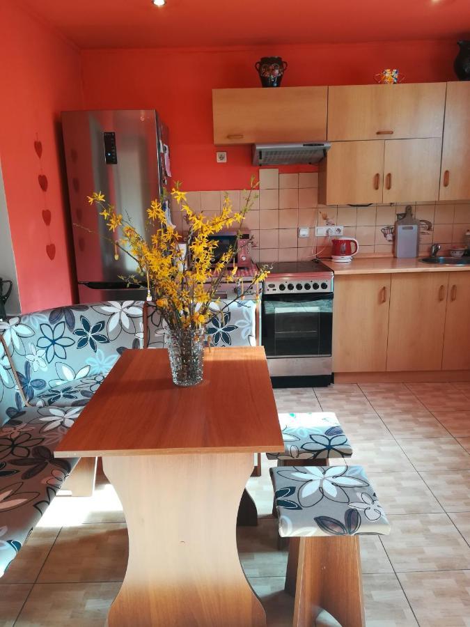 Ferienwohnung Prazdninovy Byt Arin Jáchymov Exterior foto