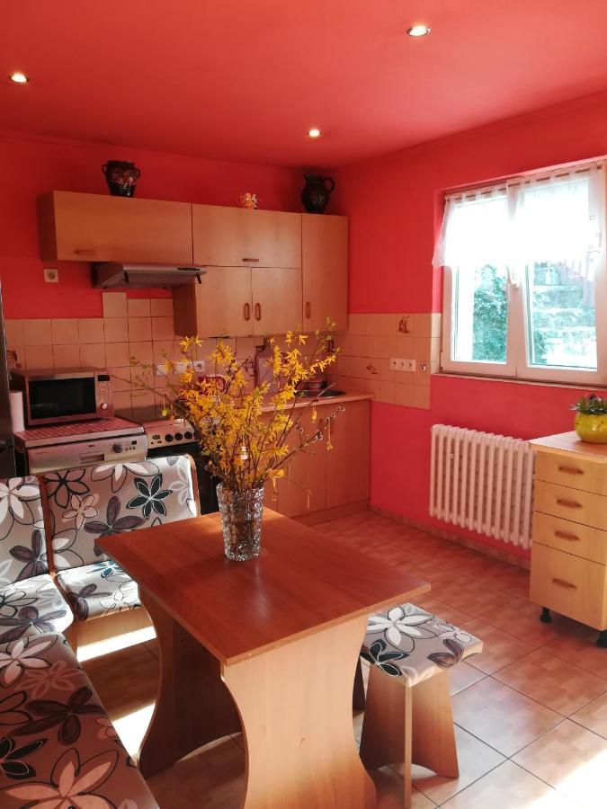 Ferienwohnung Prazdninovy Byt Arin Jáchymov Exterior foto