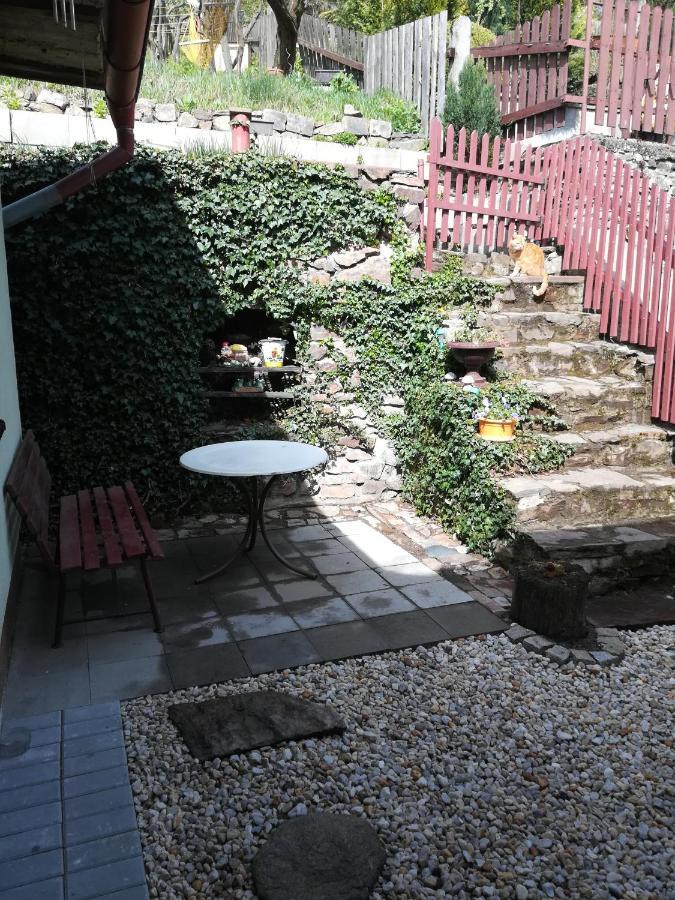 Ferienwohnung Prazdninovy Byt Arin Jáchymov Exterior foto